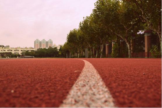 image_gallery (555×368)